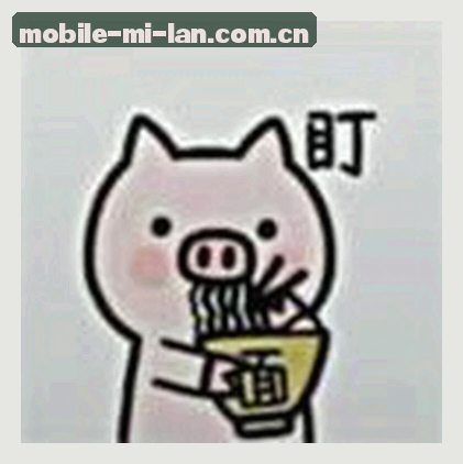 周涛